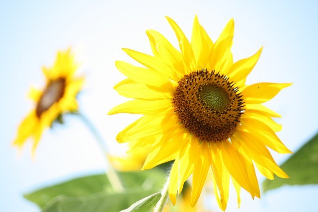 canon eos 10000010002.jpg